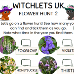 #30DaysWild – Day 28 – Flower Hunt