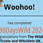 #30Dayswild Certificate